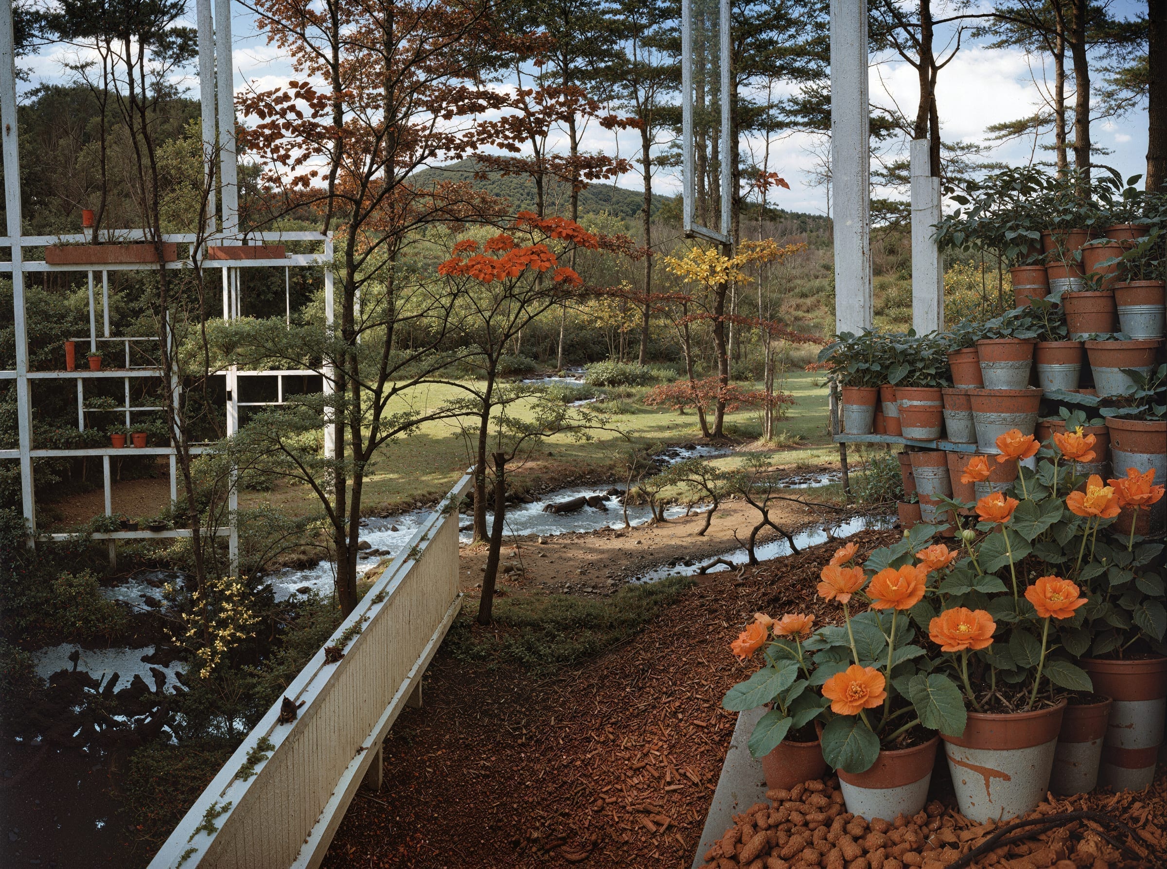 The Garden