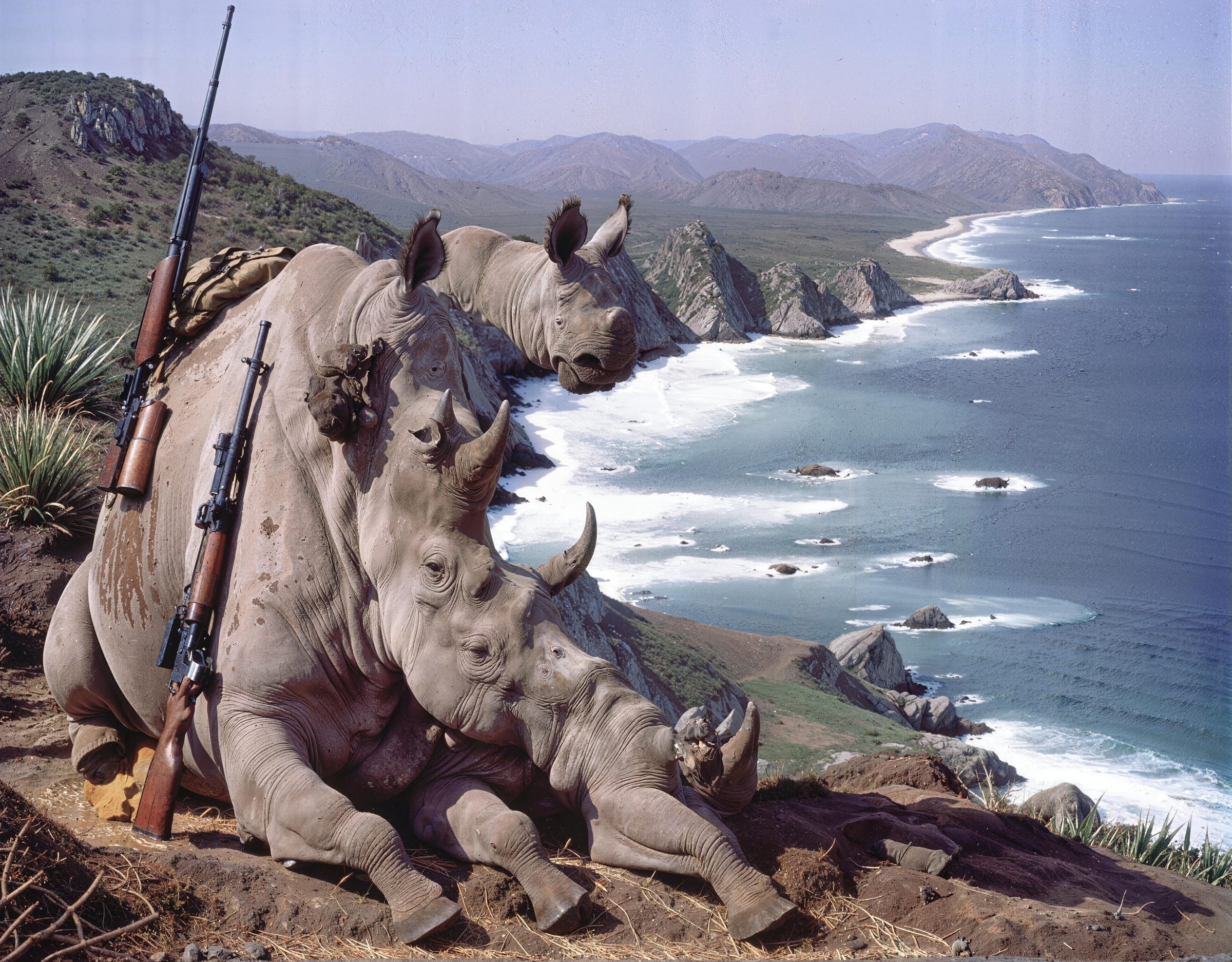 Trophy Hunting
